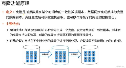 存储数据保护技术与应用 保障数据处理和存储服务的安全基石